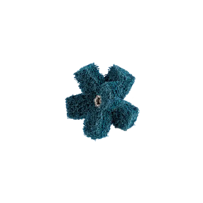 Etoiles POLINOX PNST